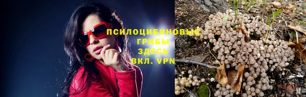 а пвп мука Баксан