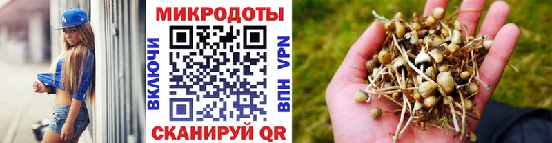 Псилоцибиновые грибы мухоморы  наркота  Губаха 